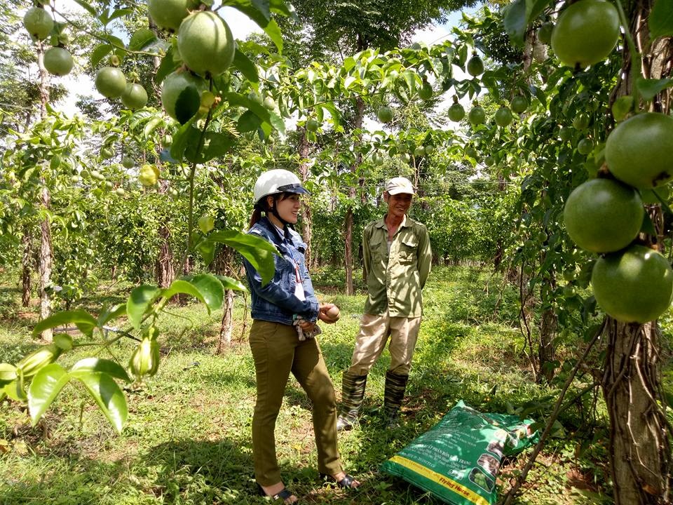 Xã Krông Á, huyện M’Drắk nỗ lực trong công tác giảm nghèo